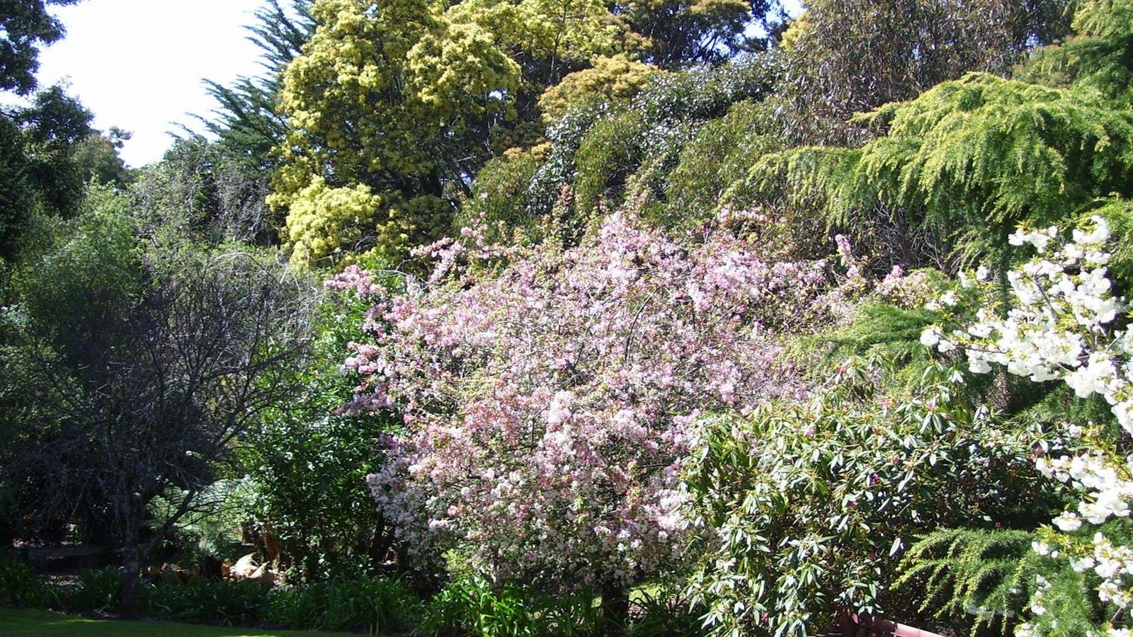 Award Winning Parkland Gardens
