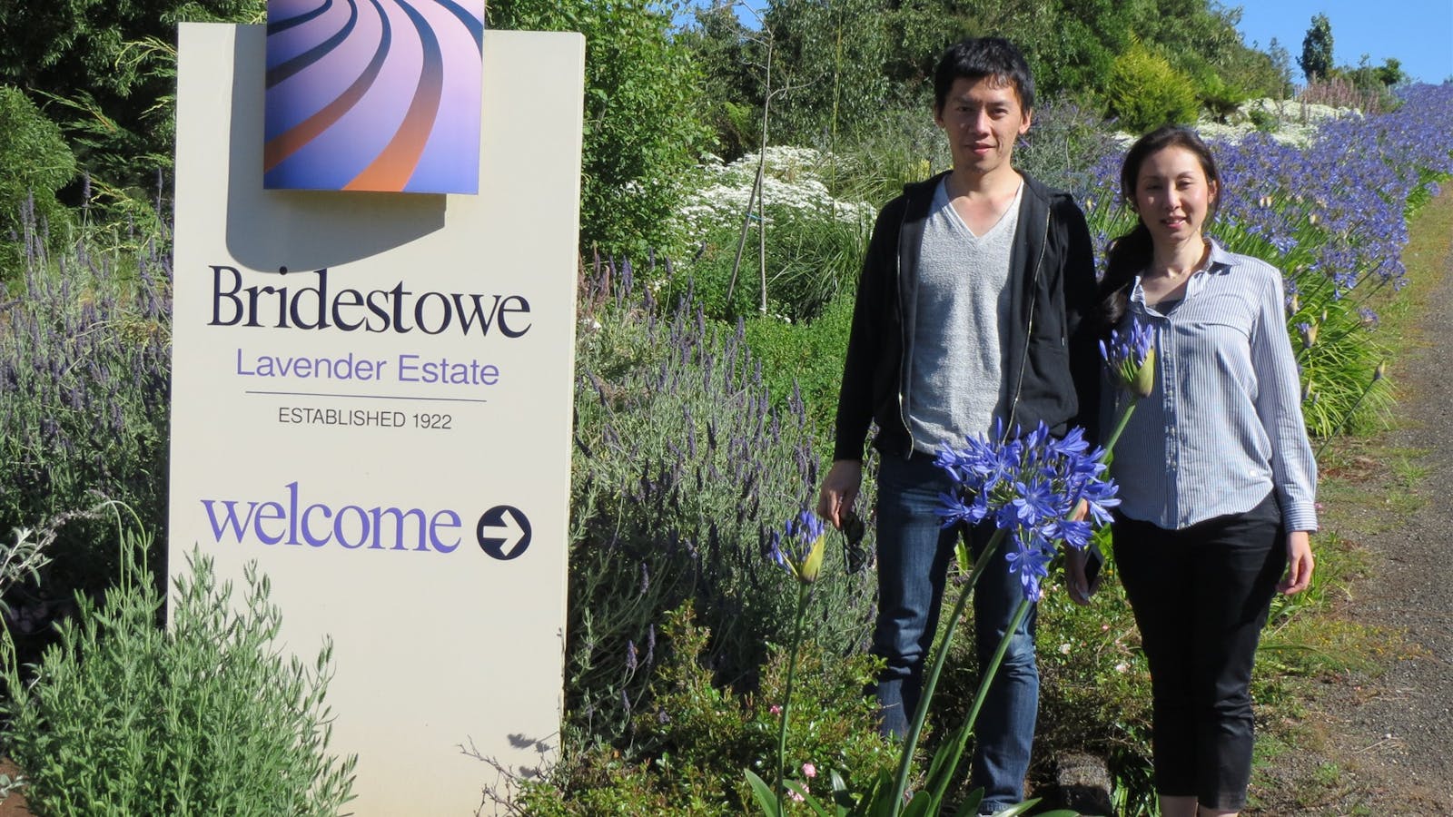 Discover Tasmania Tours