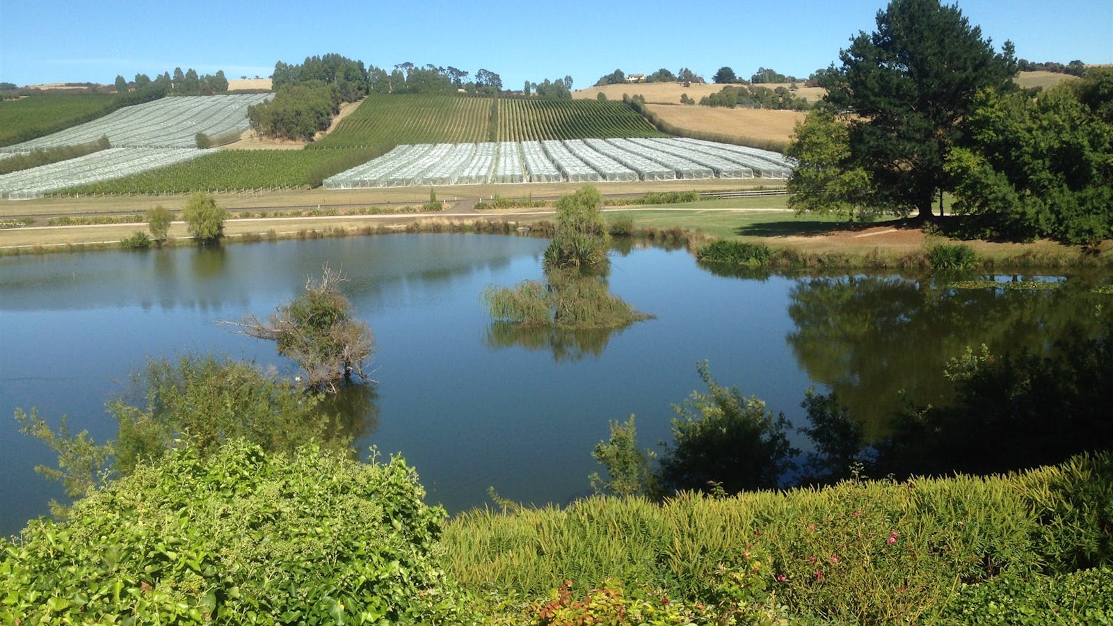 Discover Tasmania Tours