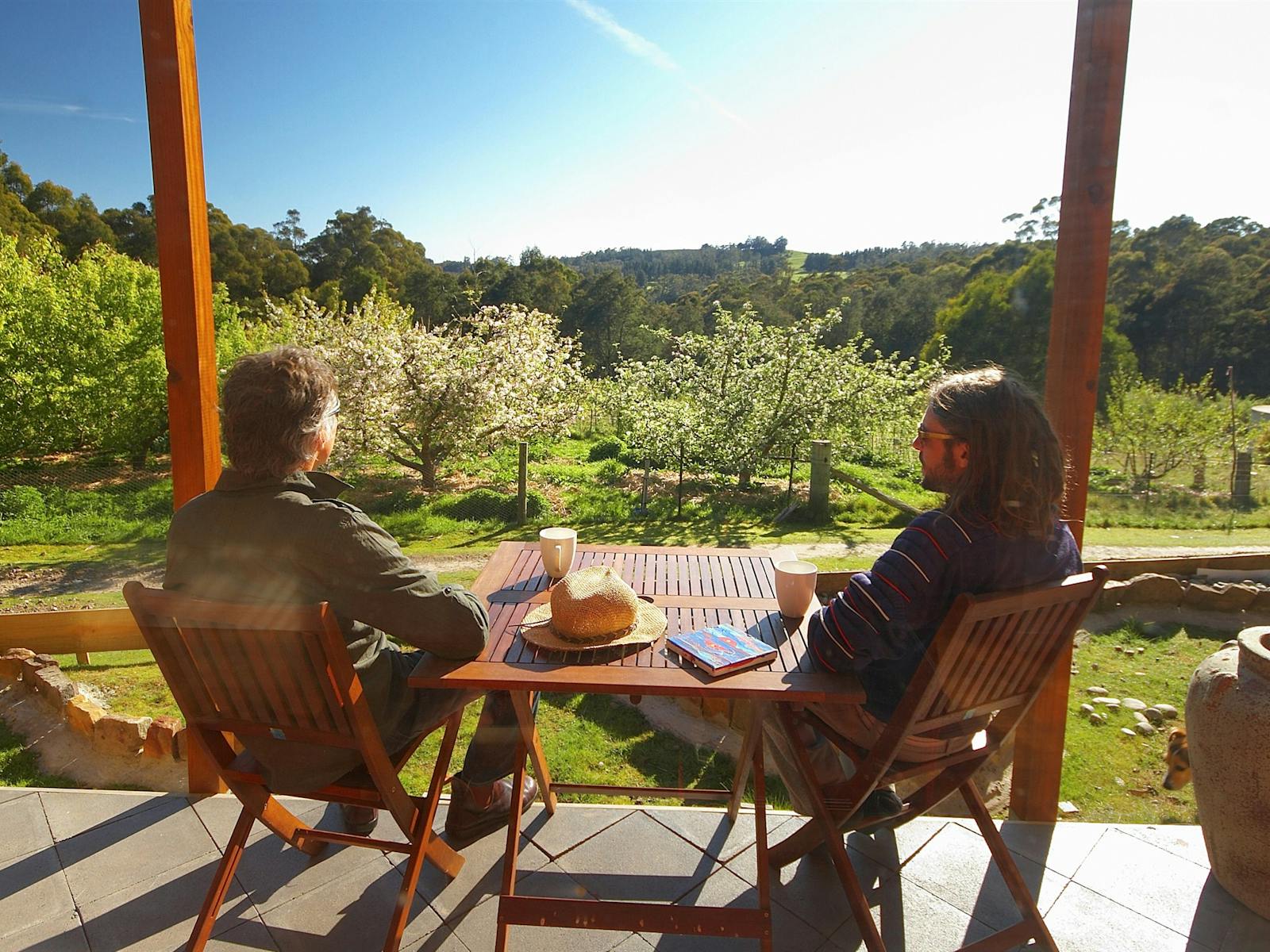 Sunny Patio