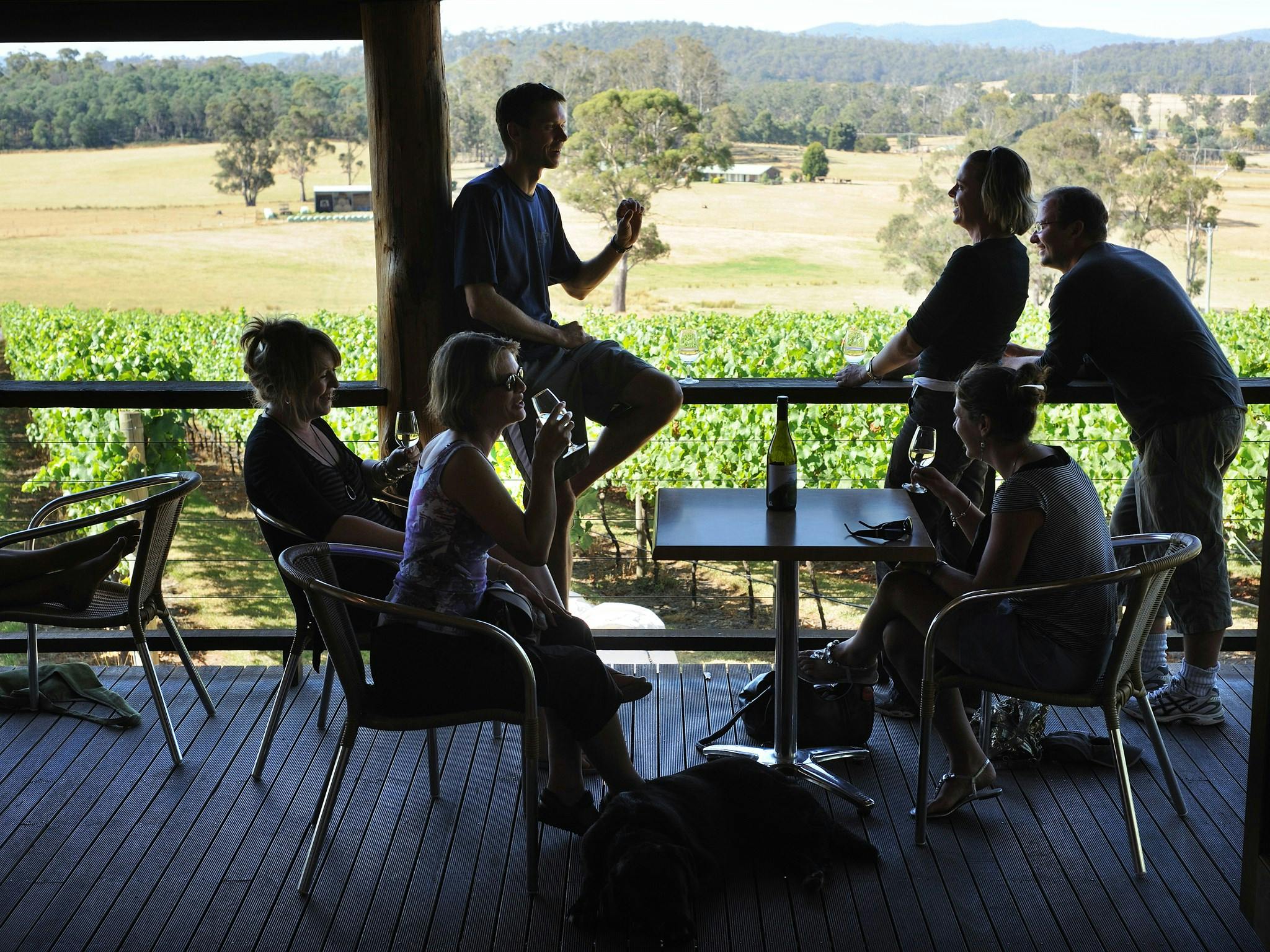 Enjoy the views over the vineyard