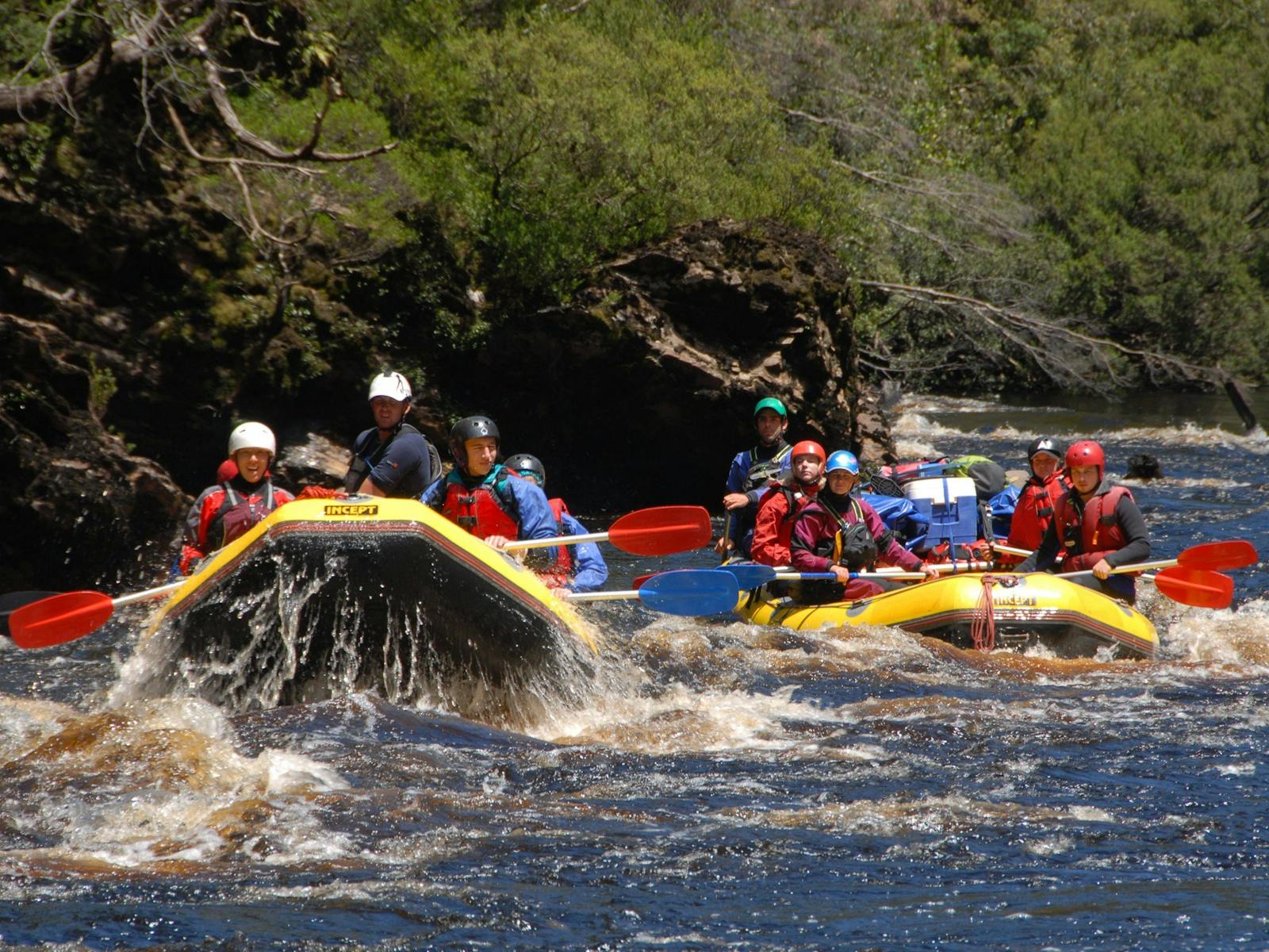 Rafters Race on the Middle Franklin, Water by Nature Franklin River Rafting