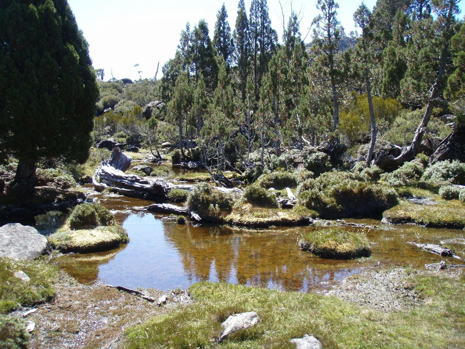 Walls of Jerusalem NP - Pools of Bethesda