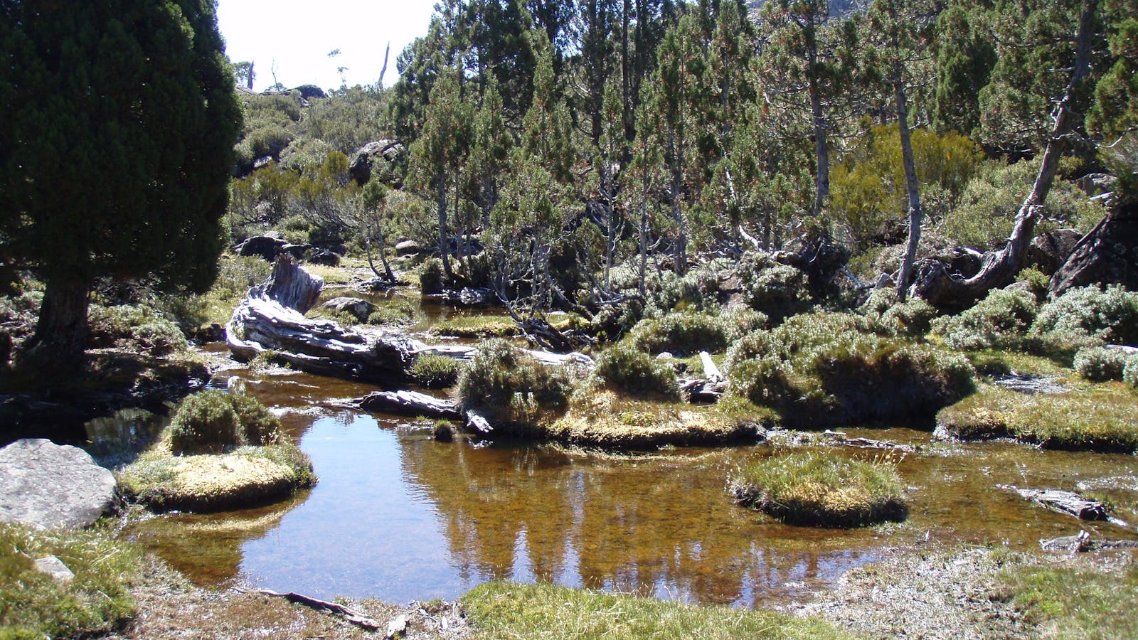Tasmanian Wilderness Experiences