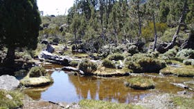 Walls of Jerusalem NP - Pools of Bethesda