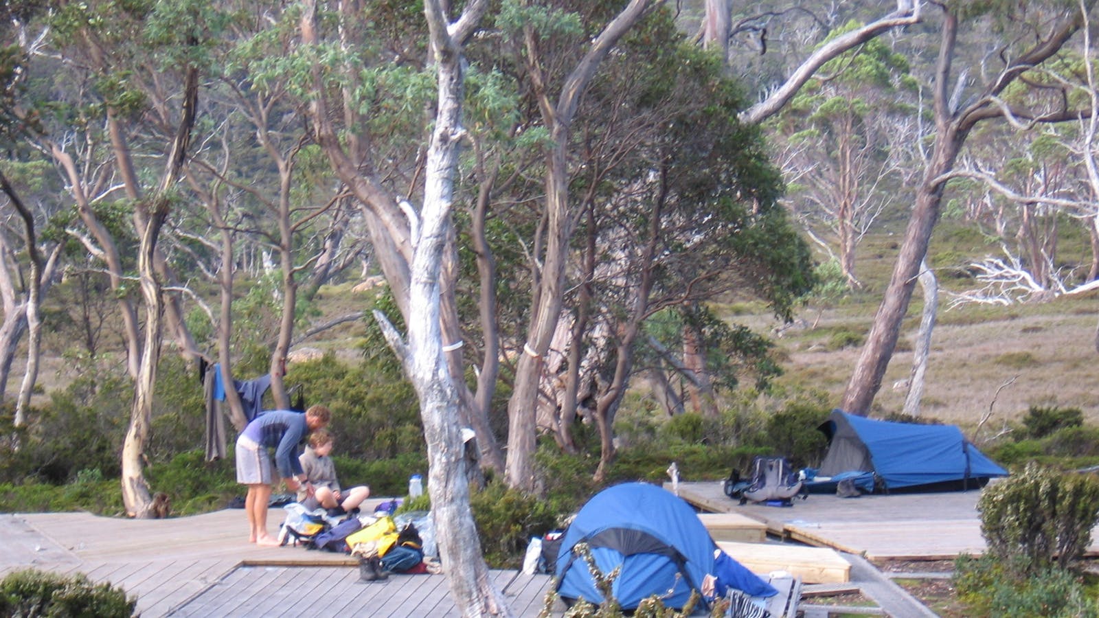 Tasmanian Wilderness Experiences