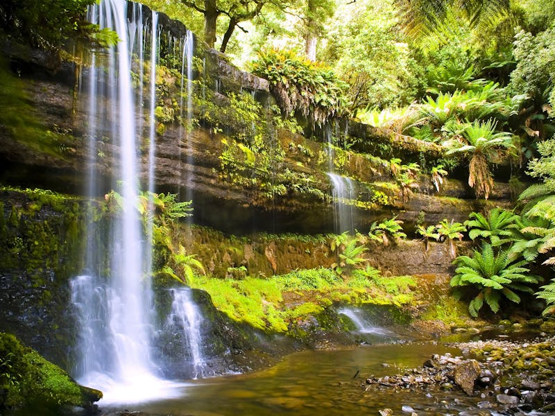 Gray Line Tasmania Discover Tasmania