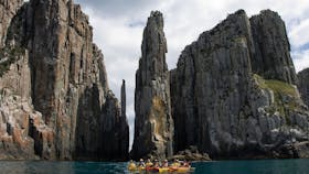 Fortescue Bay