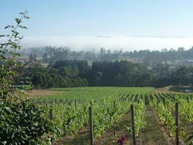 View from Grey Sands tasting area