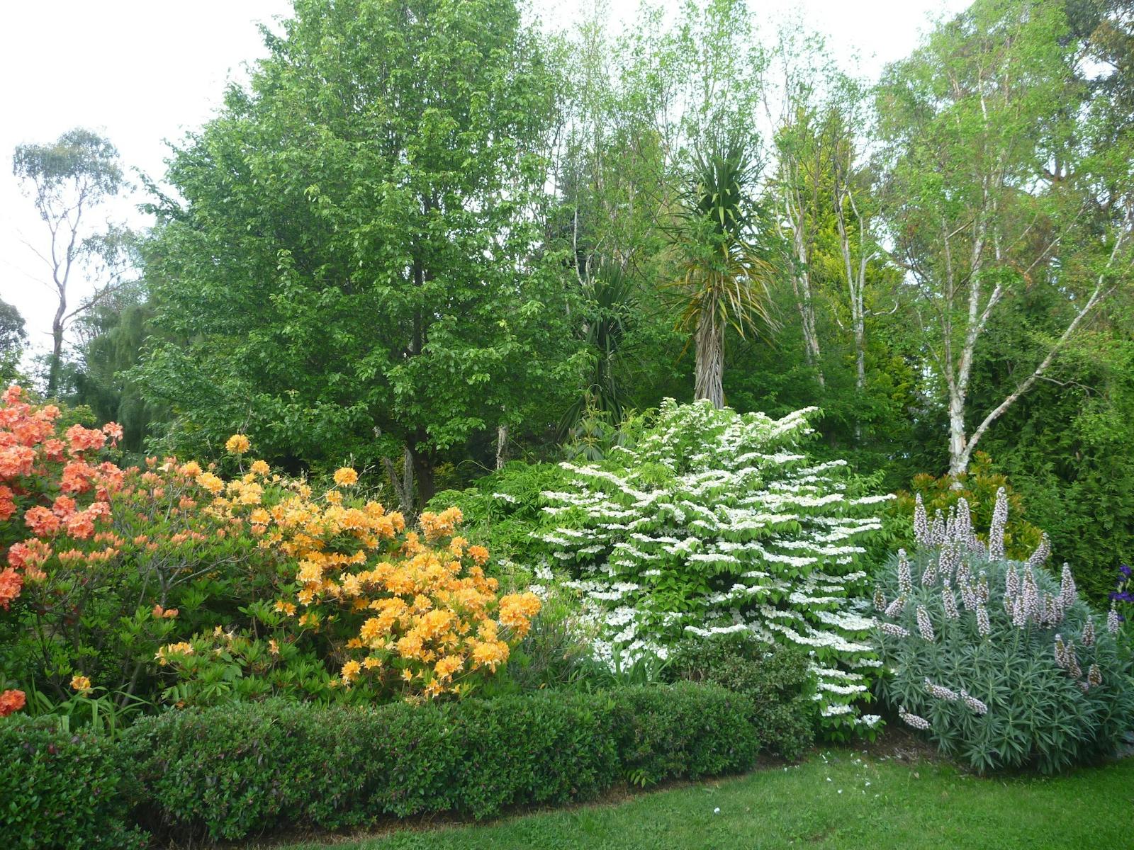 Spring in Grey Sands garden
