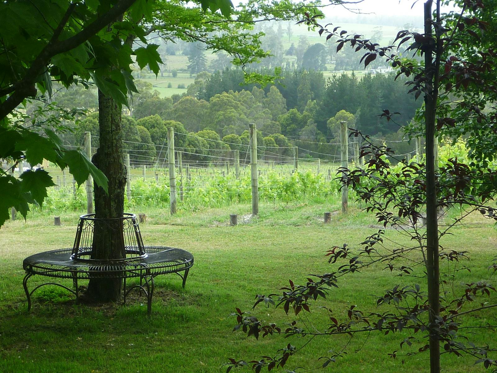 Sit and enjoy the view and the tranquility at Grey Sands vineyard