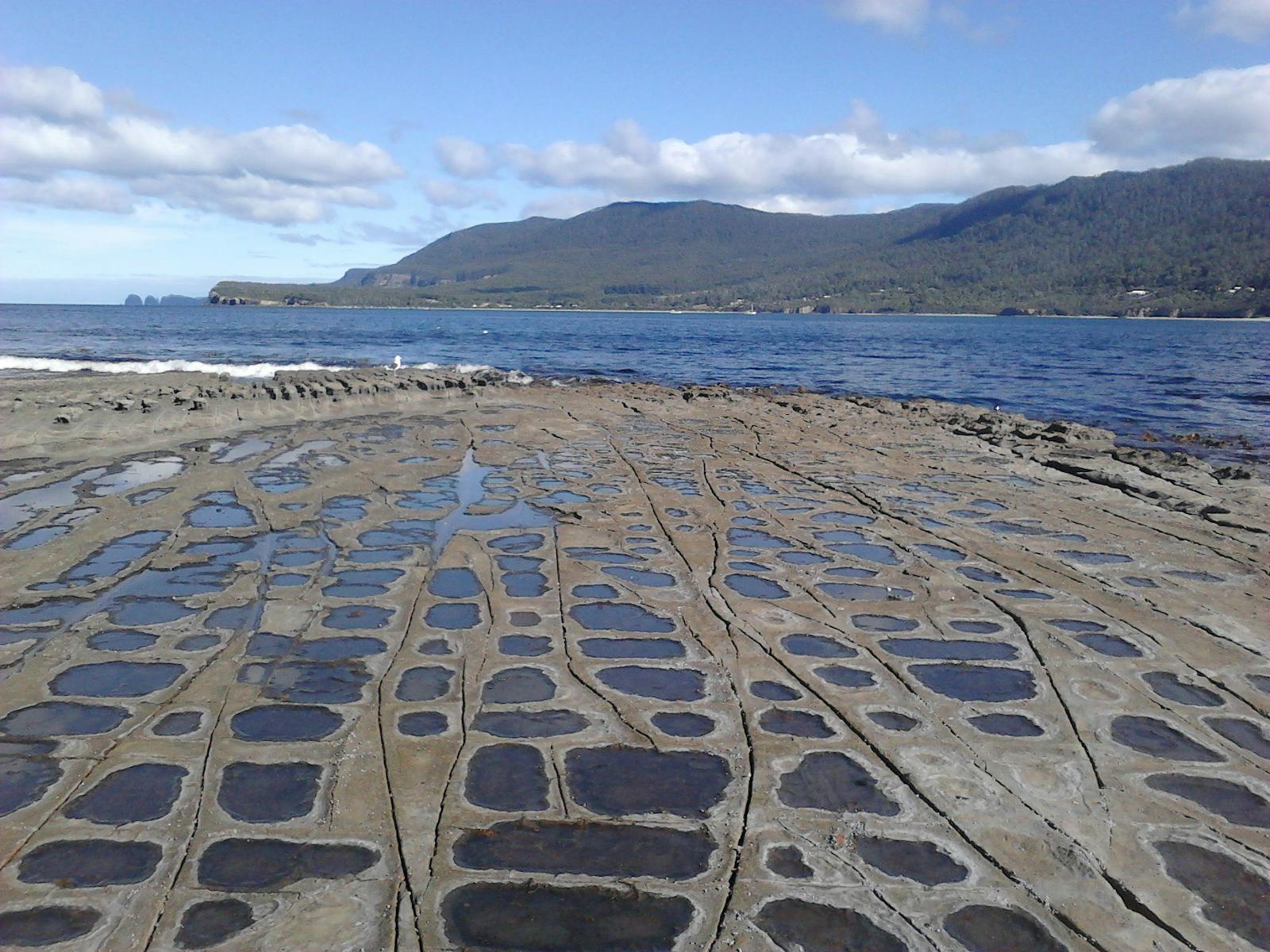 Tessellated Pavements and Blowhole on doorstep