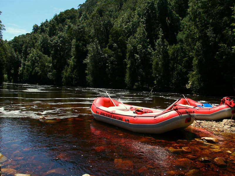 King River Rafting Discover Tasmania