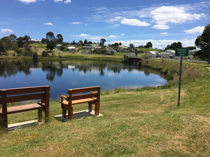 Waratah Caravan and Camping Ground