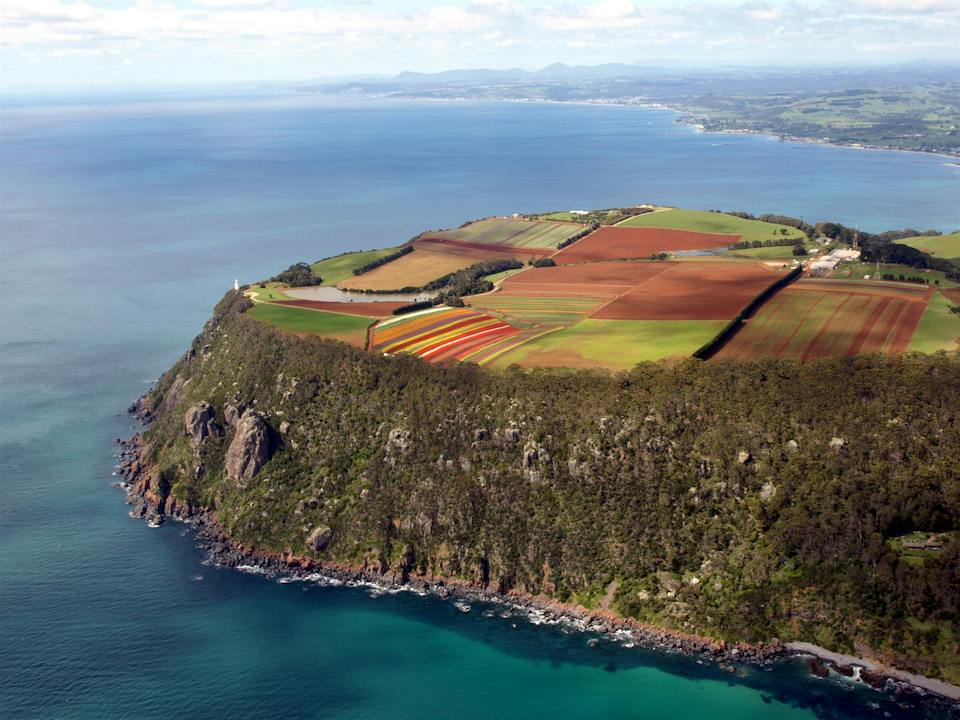 Wynyard photo