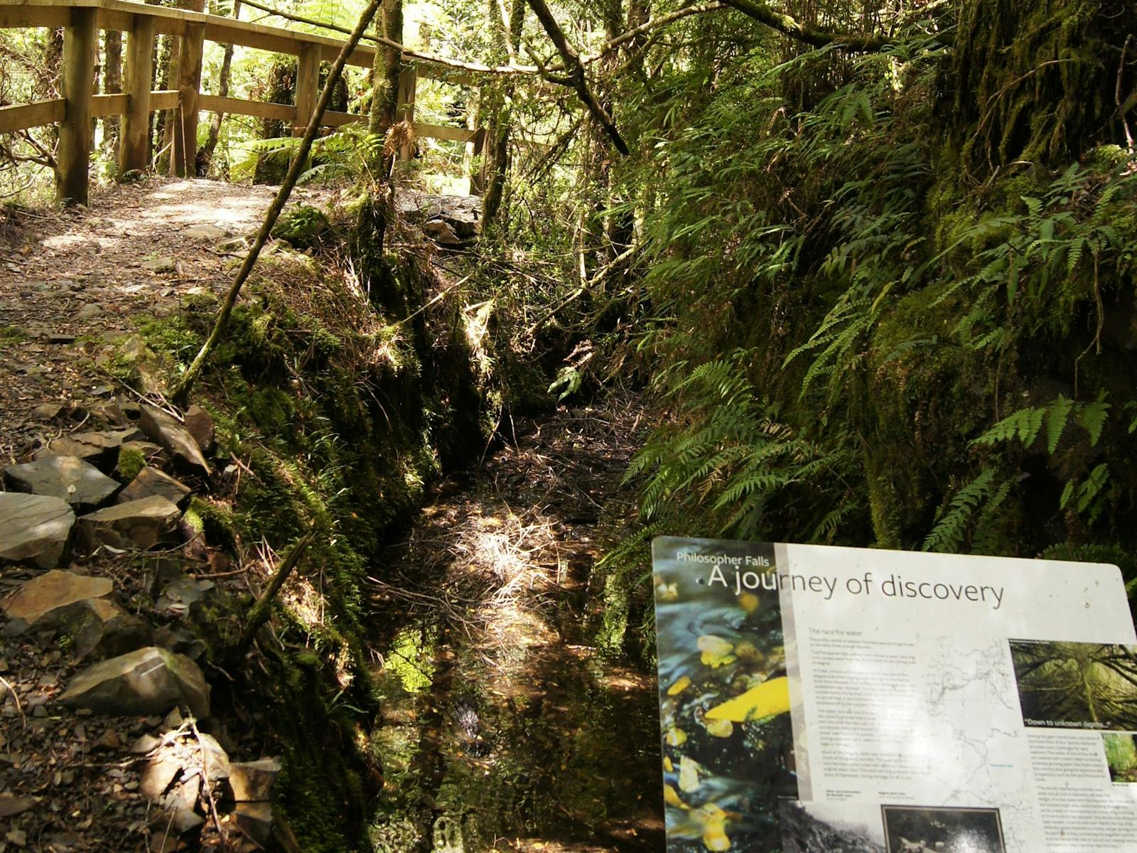 Philosopher Falls Walking Track