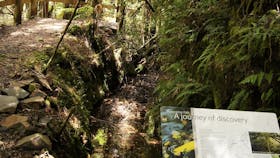 Philosopher Falls