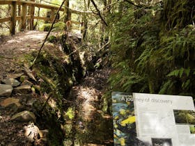 Philosopher Falls Walking Track