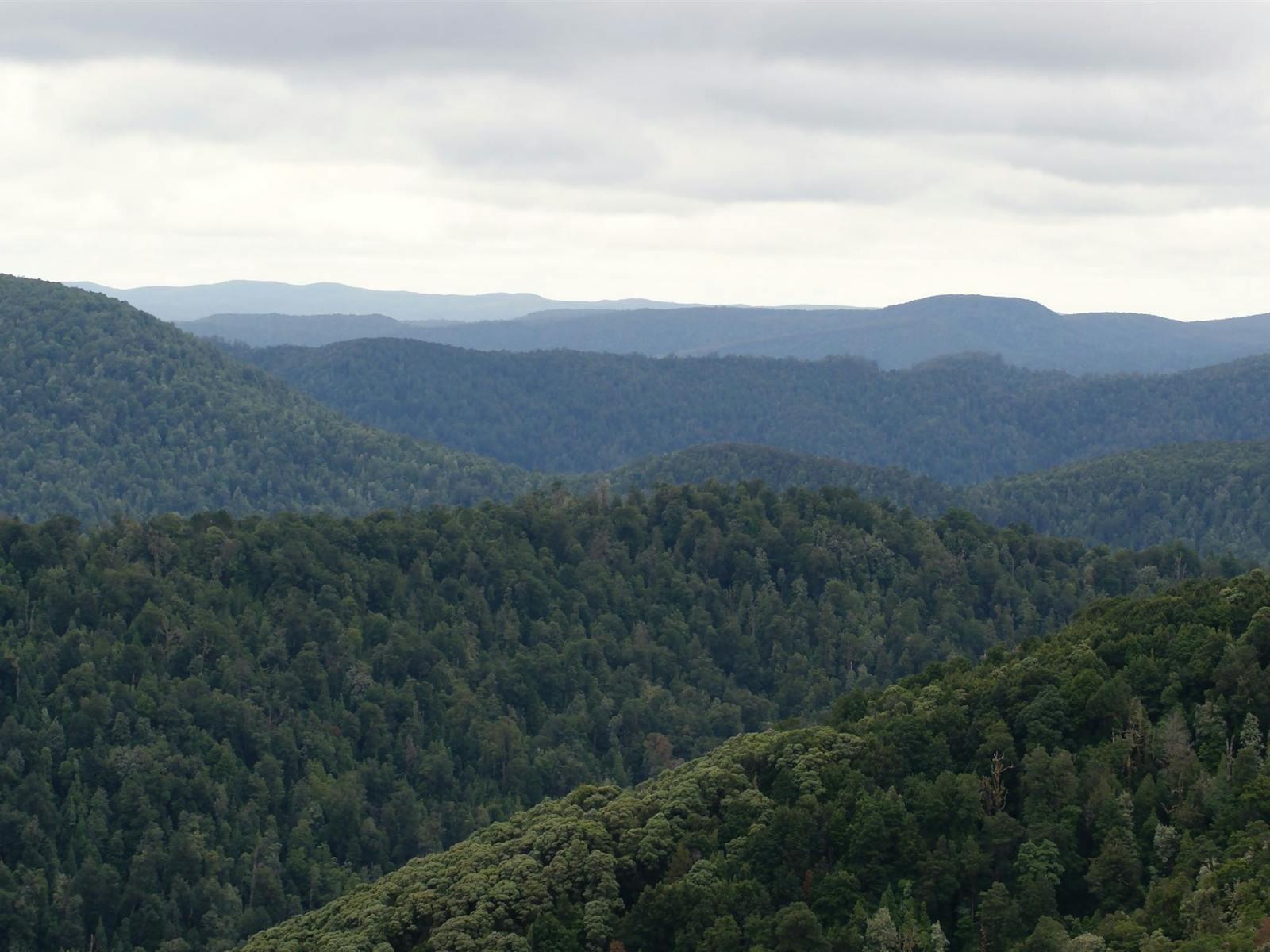 Whyte Hills Lookout