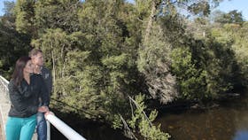 Hellyer Gorge picnic area