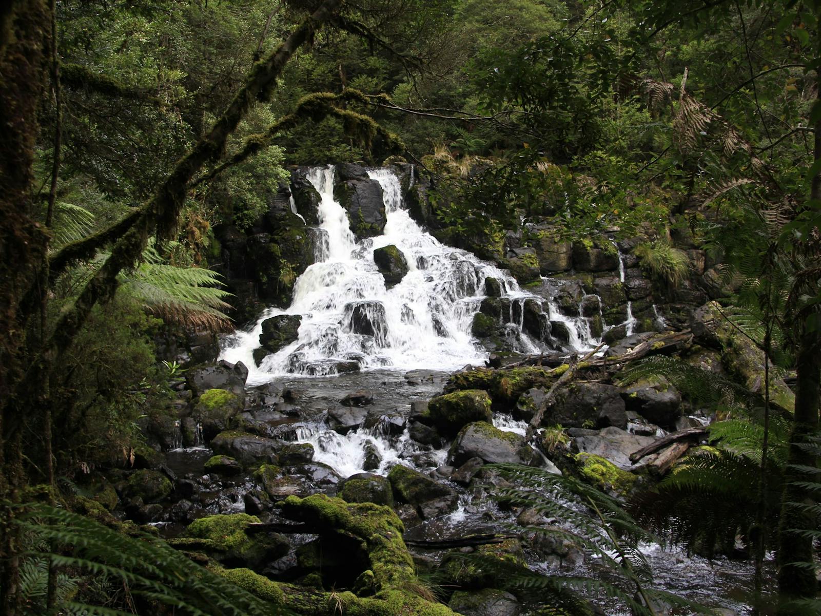 Wndle River Falls near Hellyer Gorge