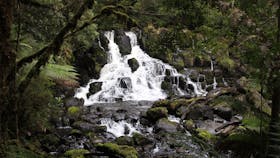Hellyer Gorge picnic area