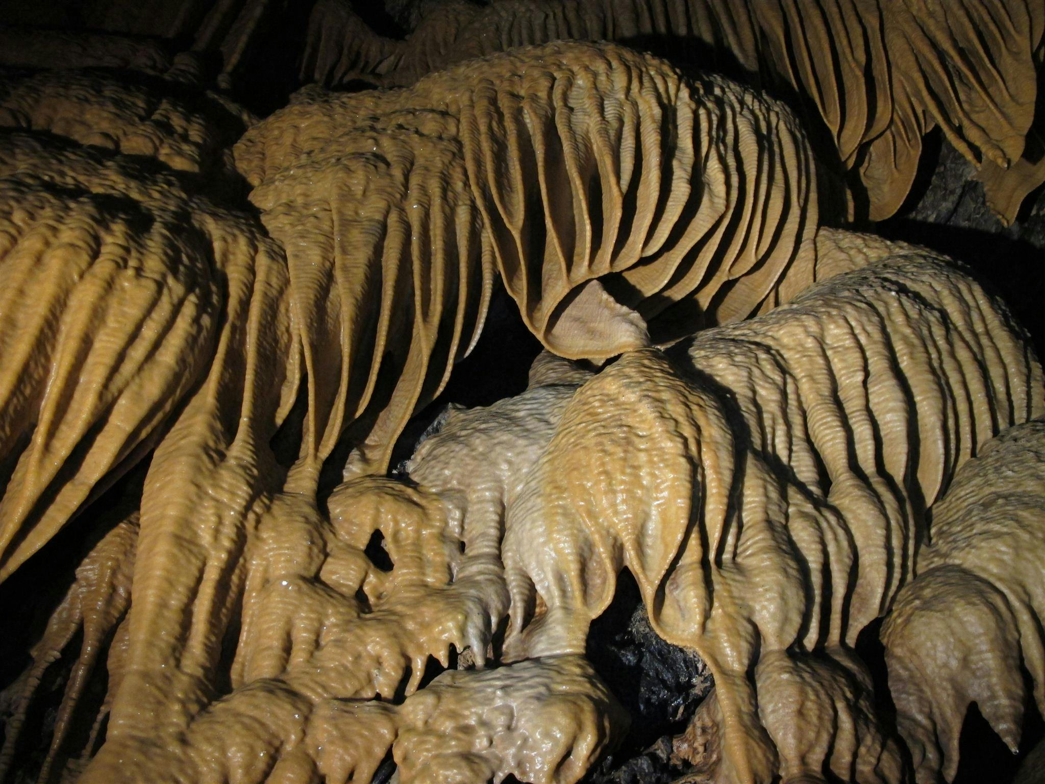 Wild Cave Tours