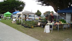 Wynyard Foreshore Market