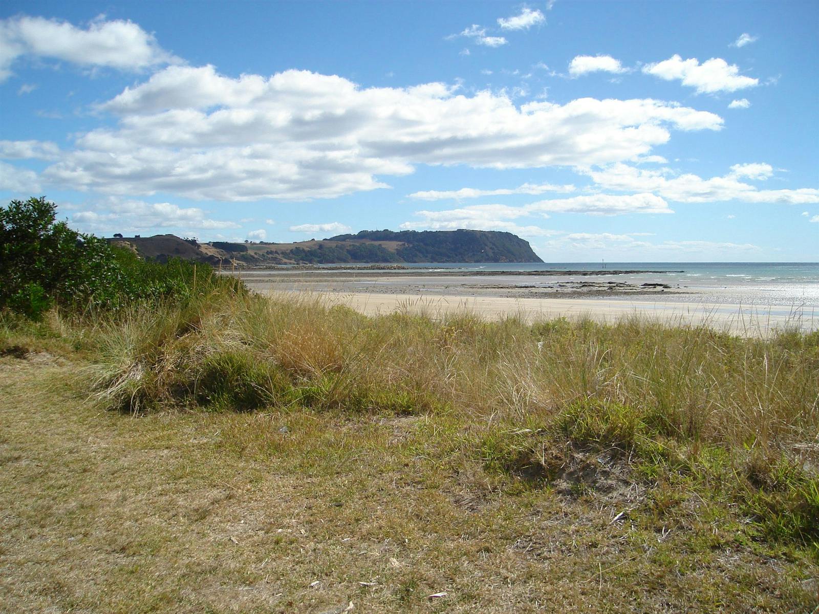 Wynyard Foreshore