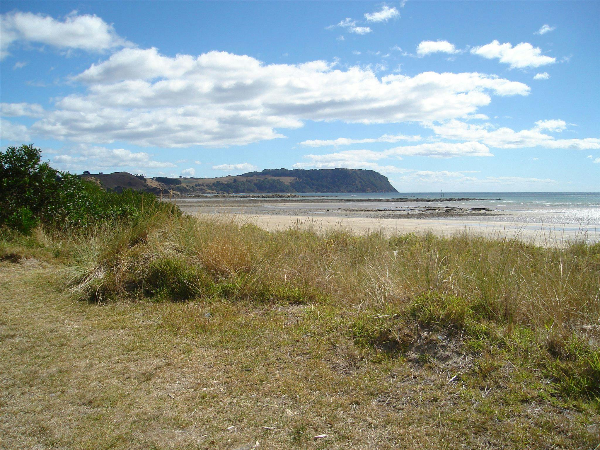 Wynyard Foreshore