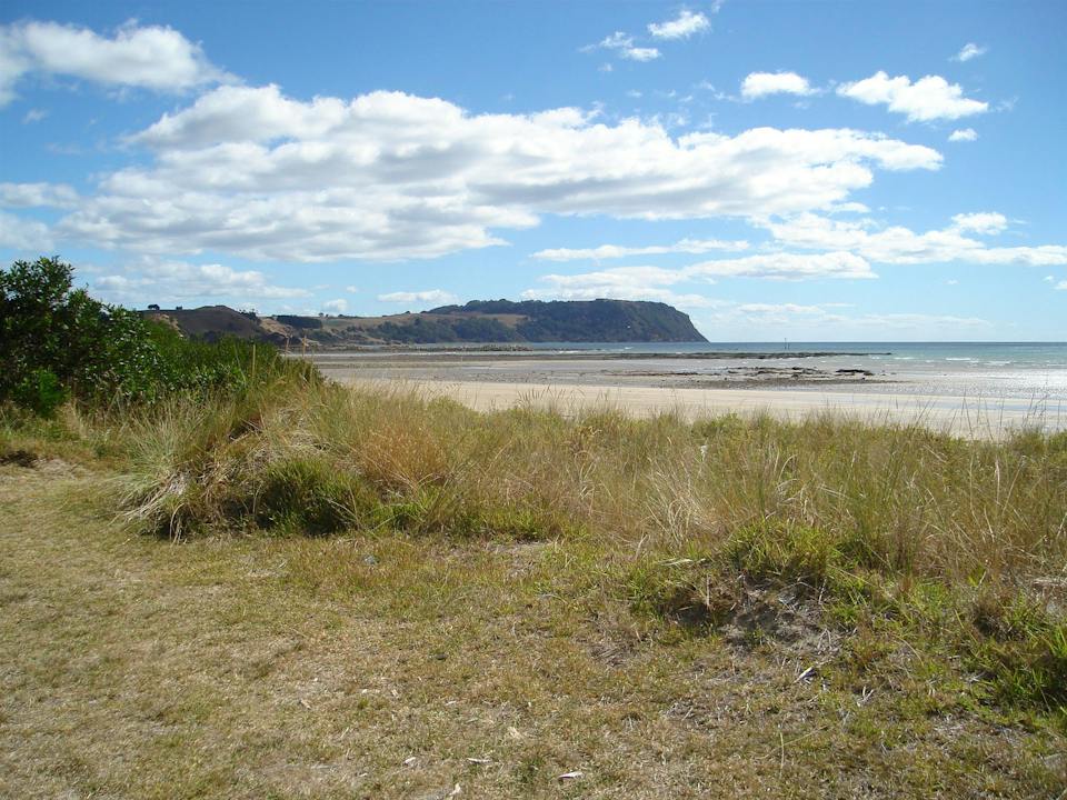 Wynyard Foreshore Market photo