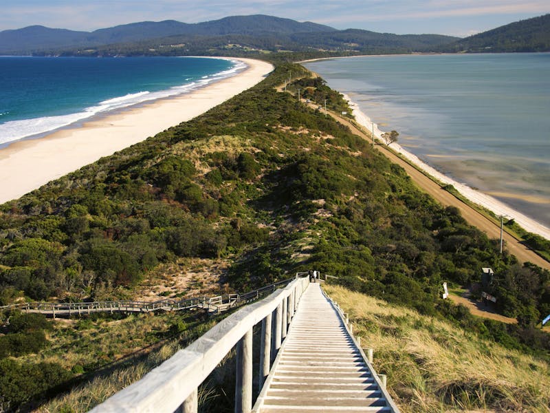 Bruny Island Neck - Discover Tasmania