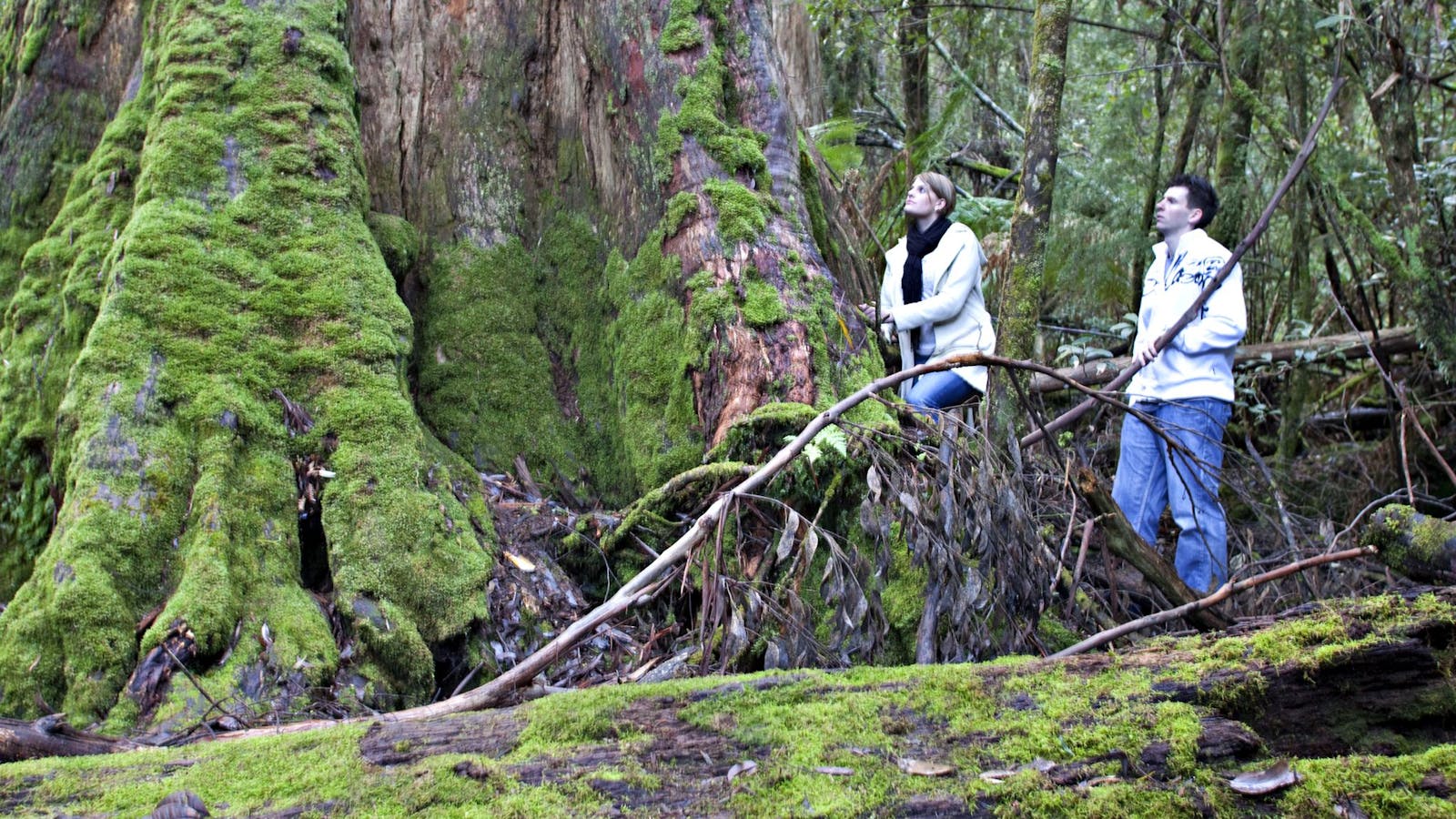 Hastings Caves and Thermal Springs
