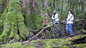 Hastings Caves and Thermal Springs