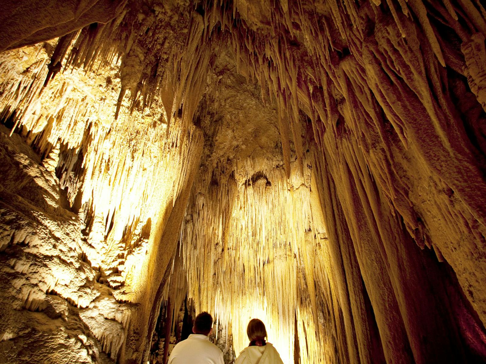 Newdegate Cave
