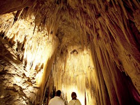 Hastings Caves and Thermal Springs