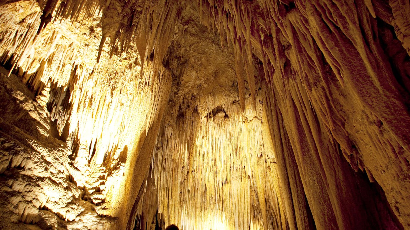 Hastings  Caves