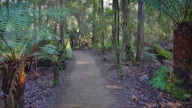 Hastings Caves and Thermal Springs