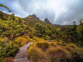 Dove Lake - Great Short Walk
