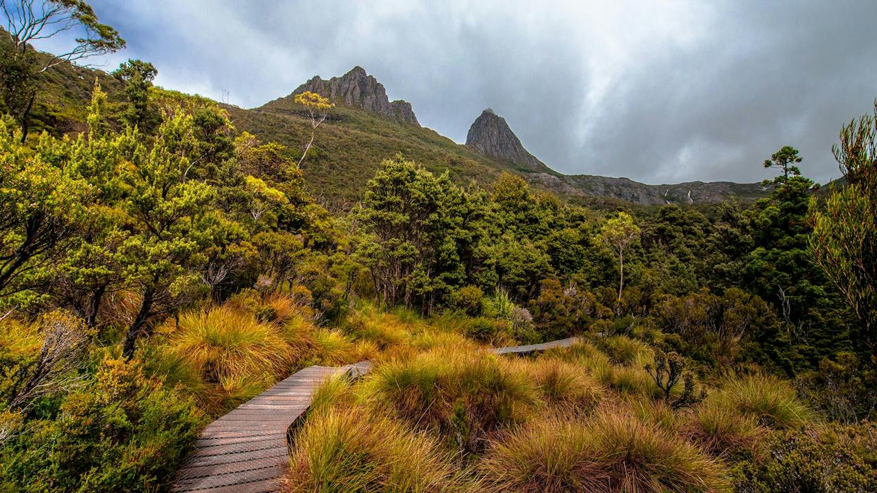 Dove Lake - Great Short Walk