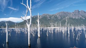 Lake Gordon - Lake Pedder - Strathgordon
