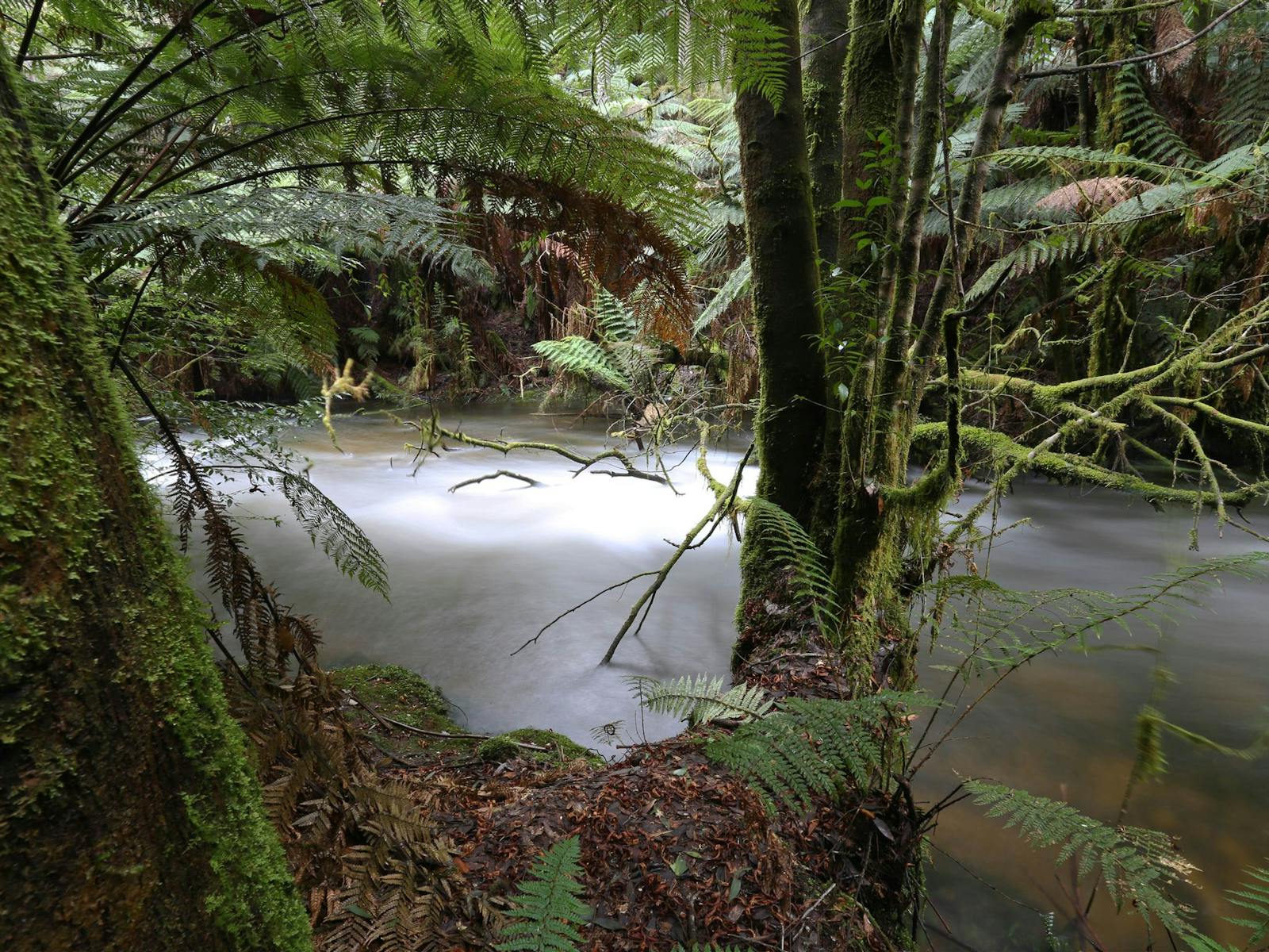 Marriotts Falls and Junee Caves