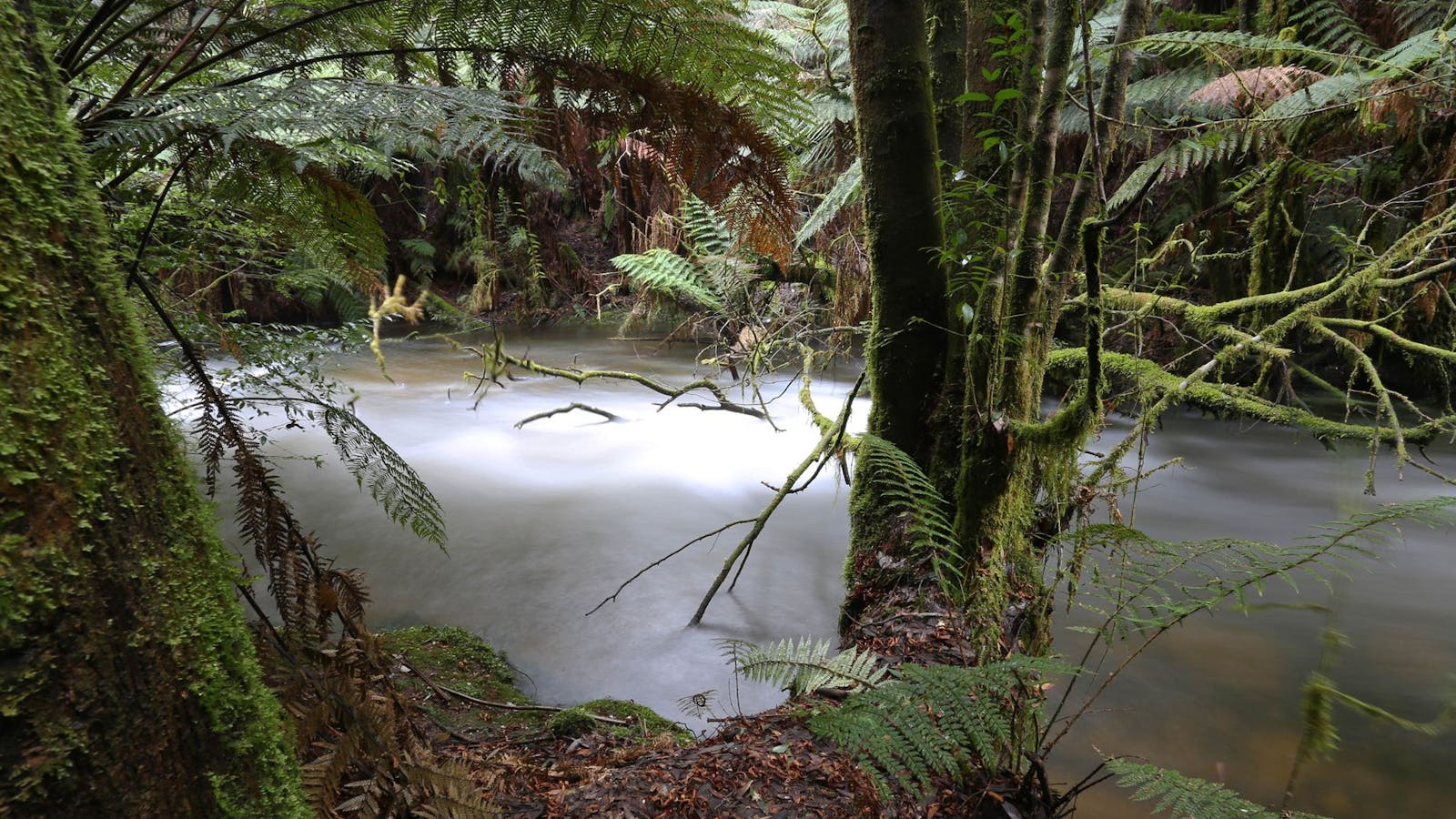Marriotts Falls and Junee Caves