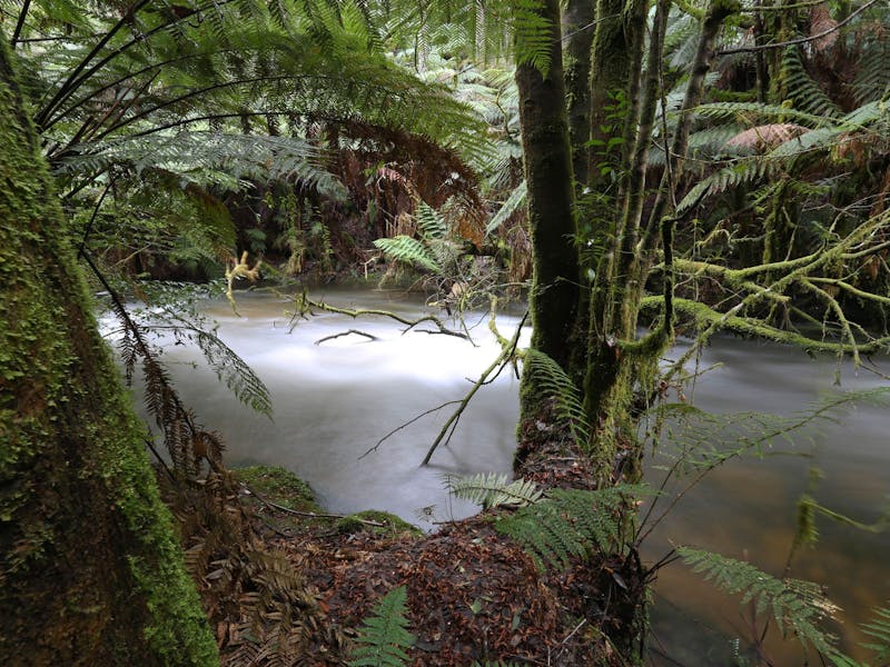 Marriotts Falls and Junee Caves