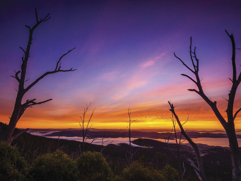 Wellington Park Discover Tasmania