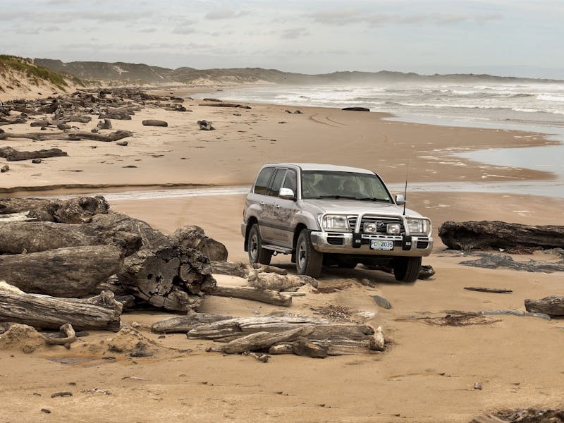 4WD off-roading along the Tarkine Coast amidst the masses of drift wood washed up on the beach