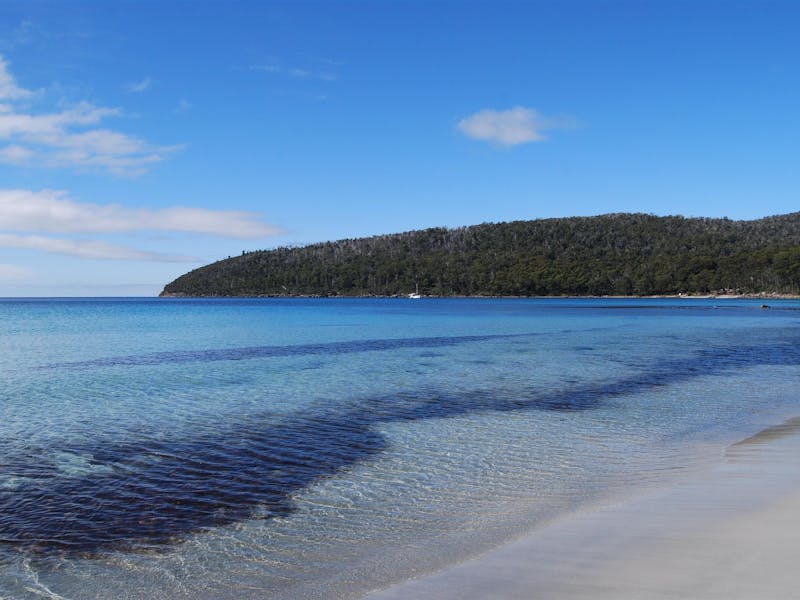 fortescue bay camping ground discover tasmania
