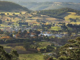 Huonville image