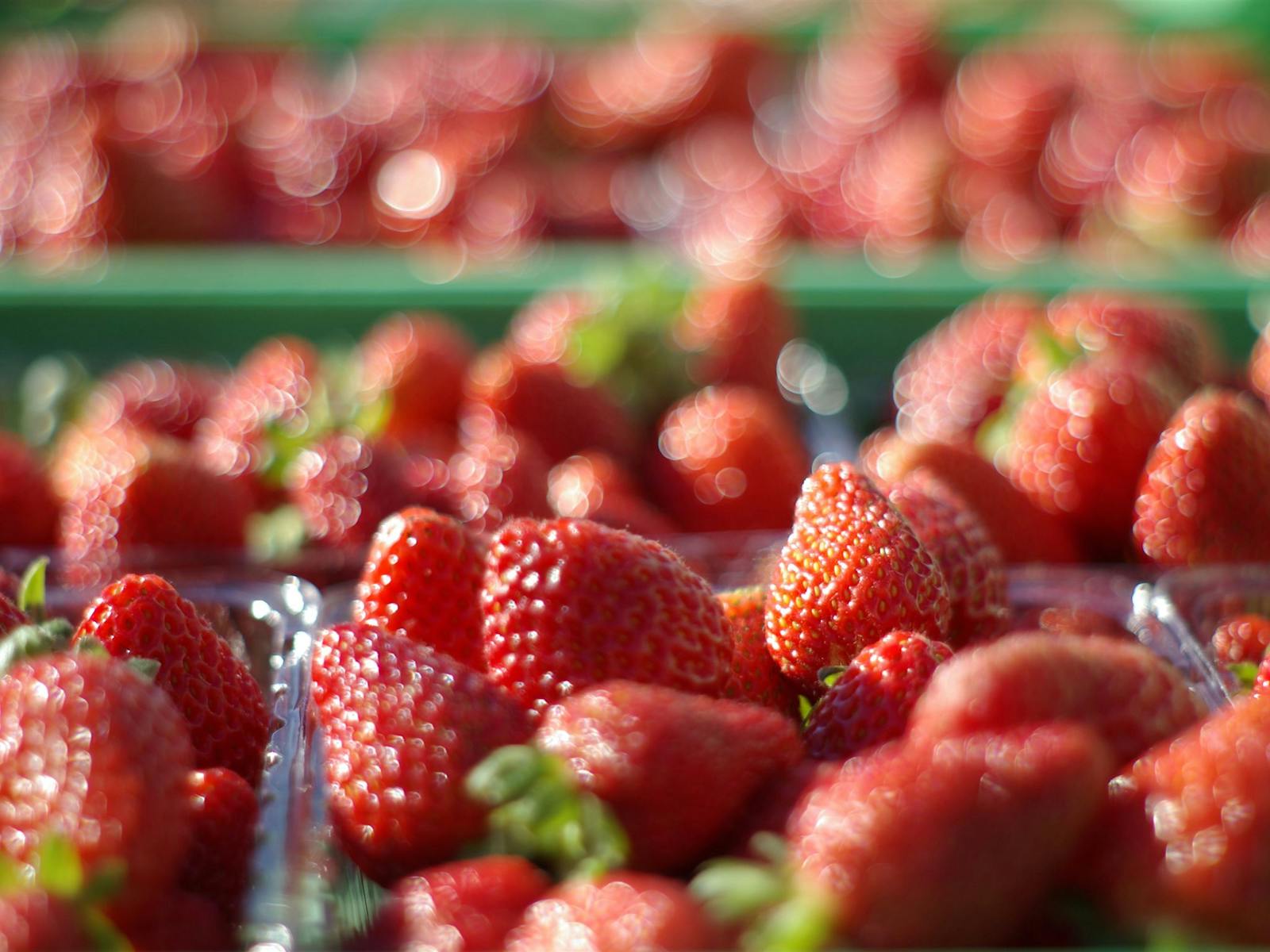 Turners Beach Berry Patch Strawberries