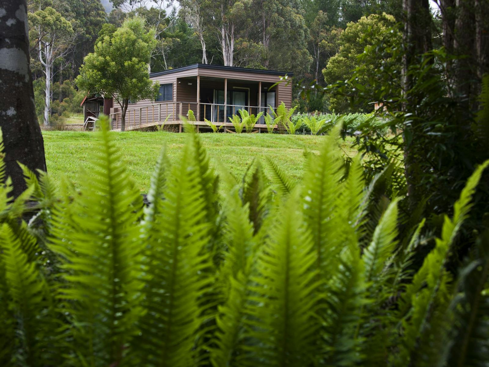 Stunning location near Russell Falls and Mt Field National Park